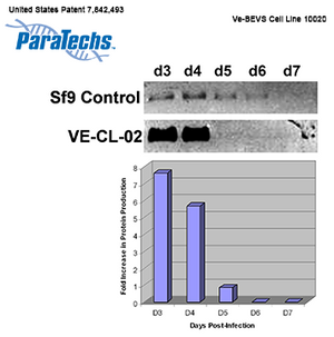 VE-BEVS Complete Kit 30021 (VE-CL-02, pAcVE1)