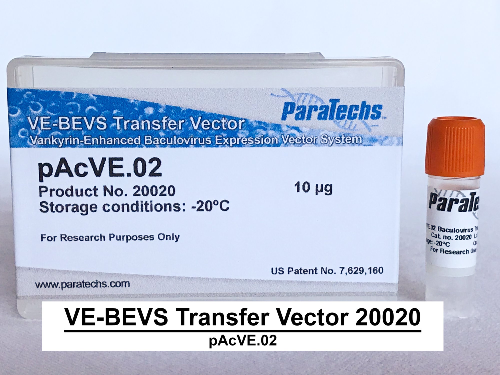 VE-BEVS Transfer Vector 20020 (10 µg) (pAcVE.02) Co-expression of vankyrin gene for increased protein production; HBM signal; N-terminal 8xHis-tag.