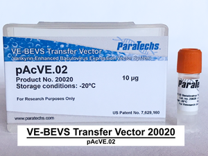 VE-BEVS Transfer Vector 20020 (10 µg) (pAcVE.02) Co-expression of vankyrin gene for increased protein production; HBM signal; N-terminal 8xHis-tag.