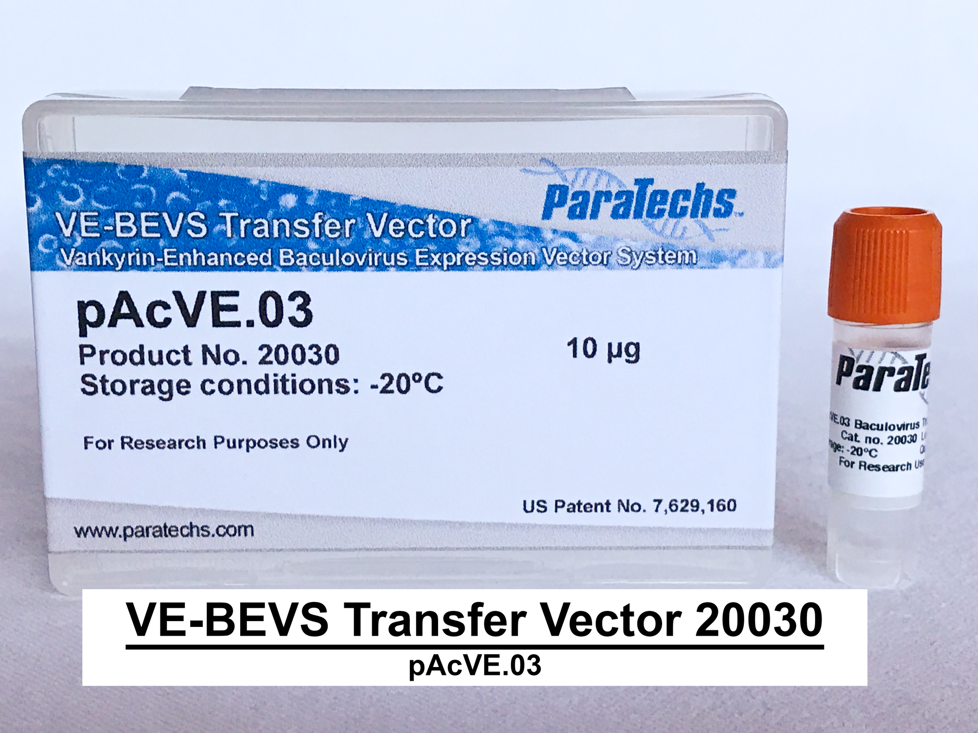 VE-BEVS Transfer Vector 20030 (10 µg) (pAcVE.03) Co-expression of vankyrin gene for increased protein production; HBM signal; C-terminal 6xHis-tag.