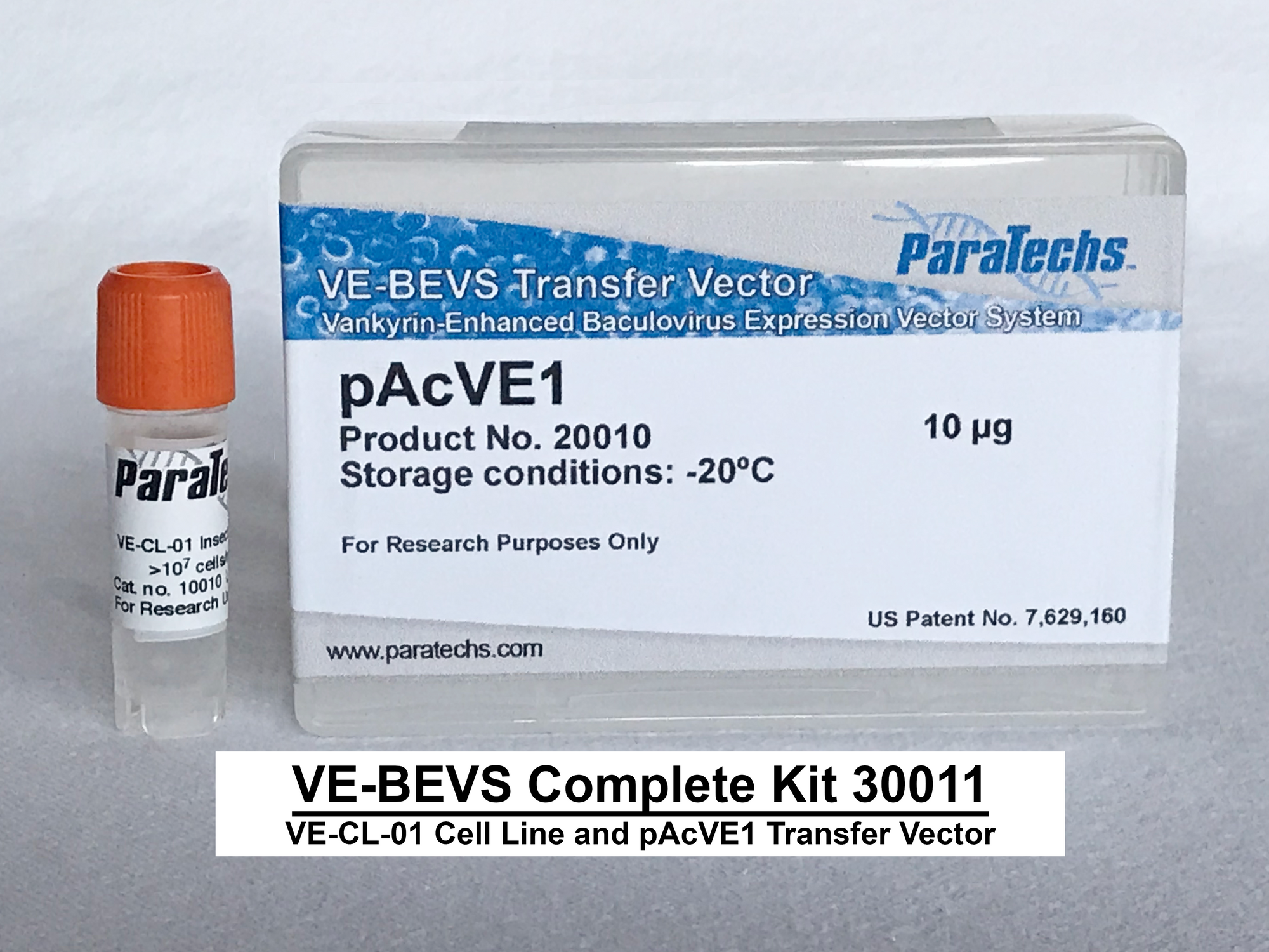 VE-BEVS Complete Kit 30011 (VE-CL-01, pAcVE1)