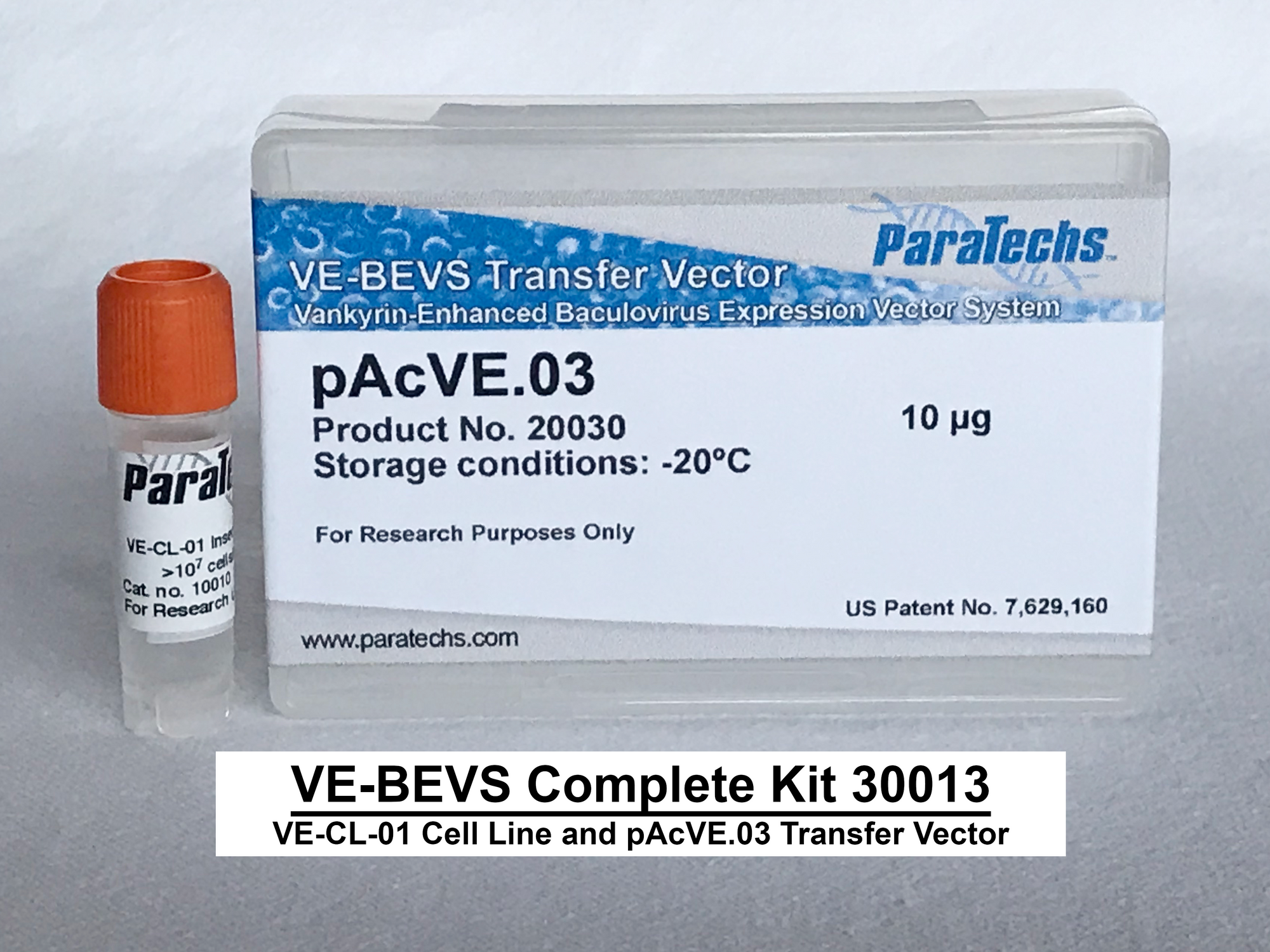 VE-BEVS Complete Kit 30013 (VE-CL-01, pAcVE.03)
