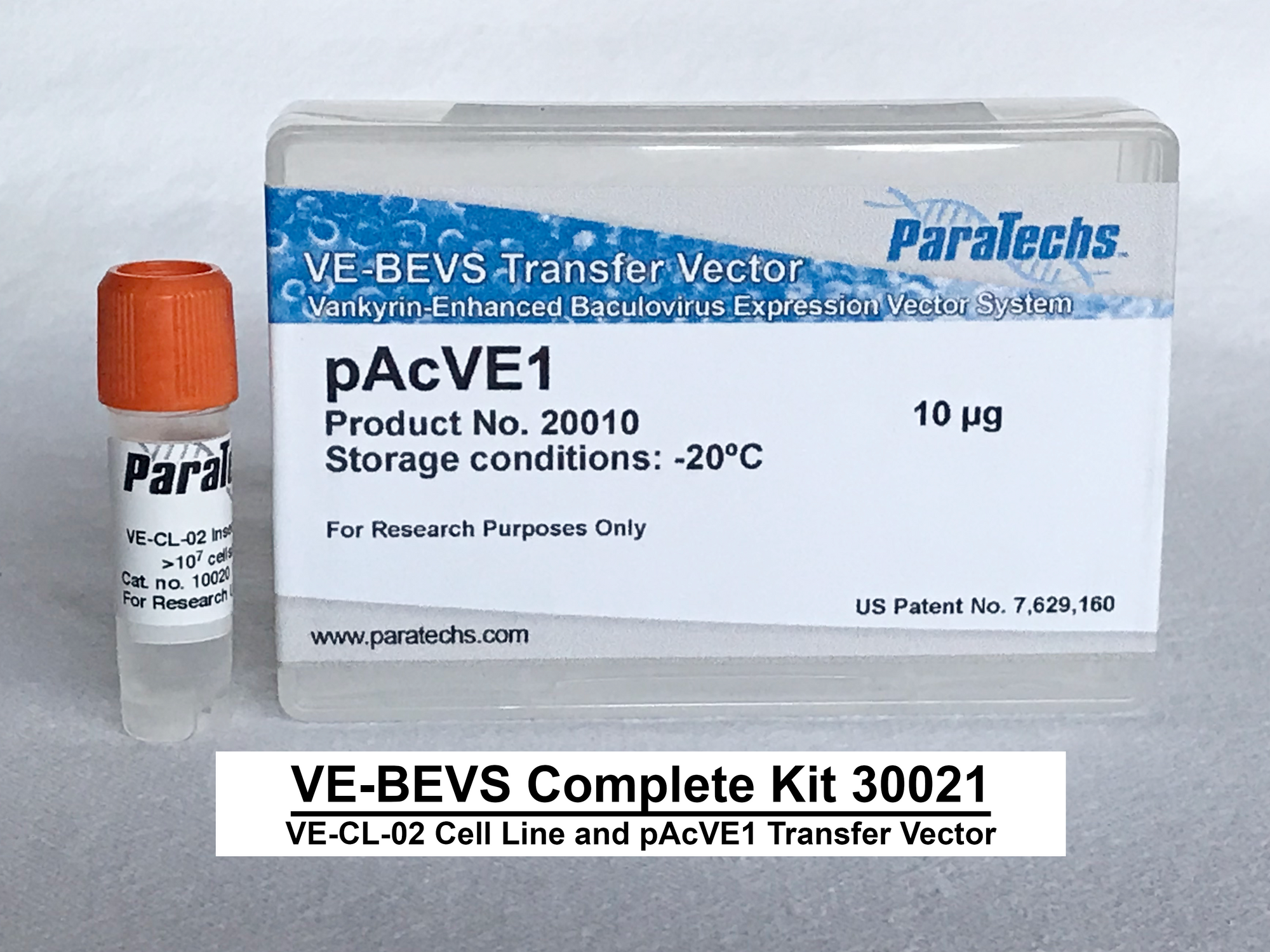 VE-BEVS Complete Kit 30021 (VE-CL-02, pAcVE1)