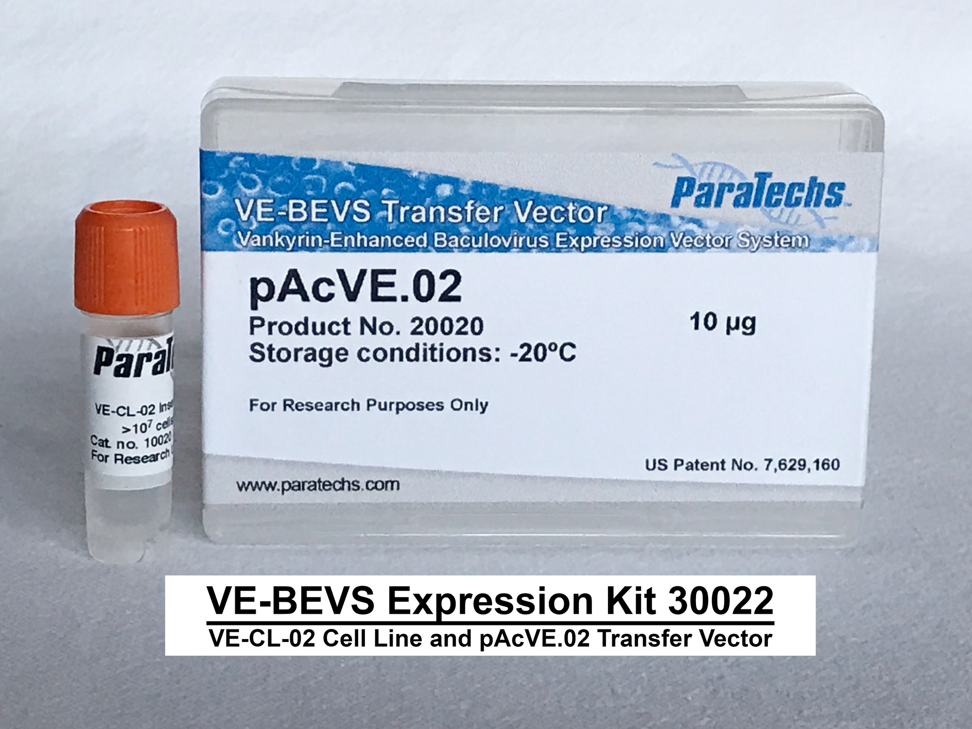 VE-BEVS Complete Kit 30022 (VE-CL-02, pAcVE.02)