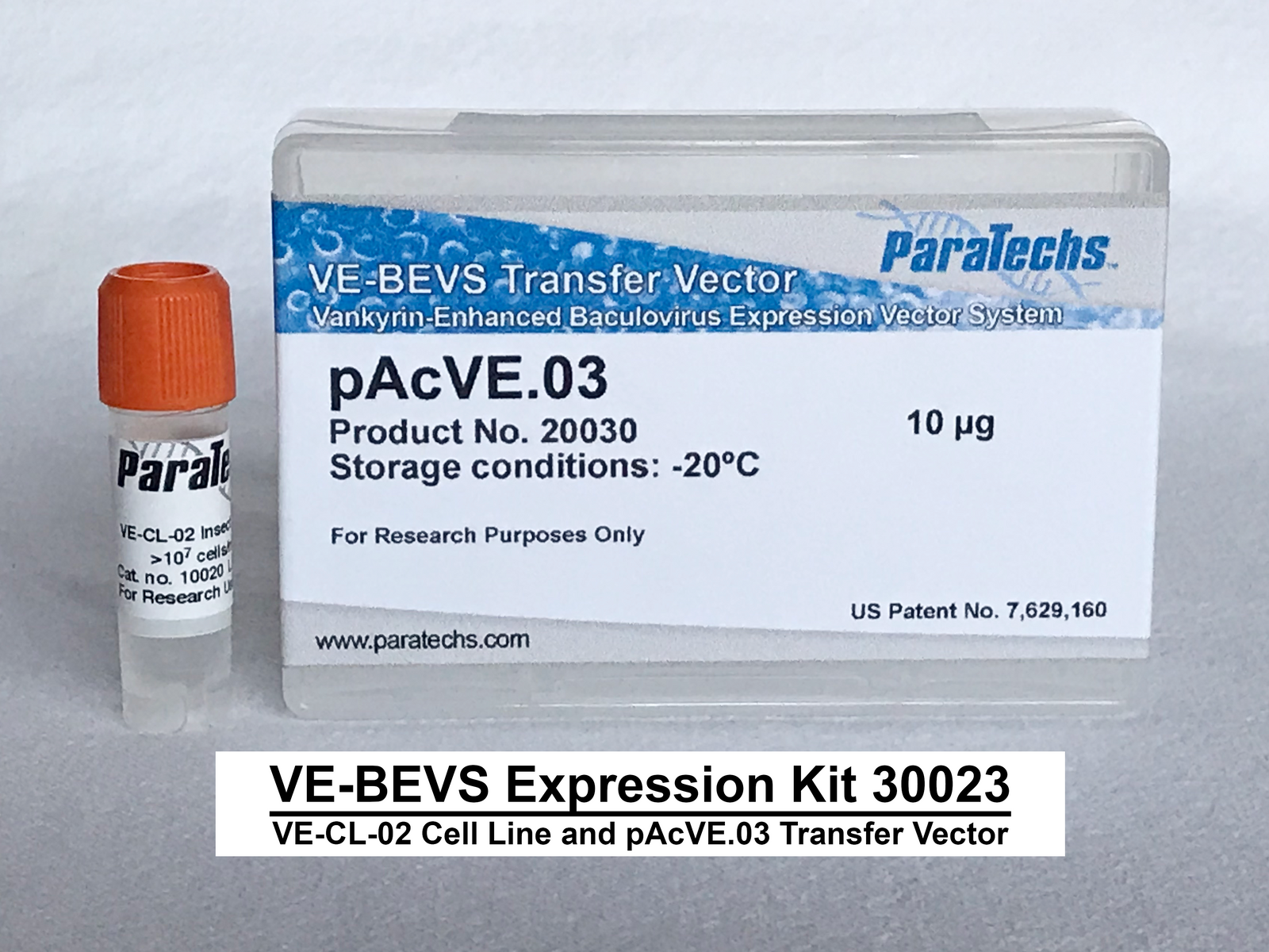 VE-BEVS Complete Kit 30023 (VE-CL-02, pAcVE.03)