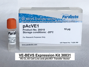 VE-BEVS Complete Kit 30031 (VE-CL-03, pAcVE1)