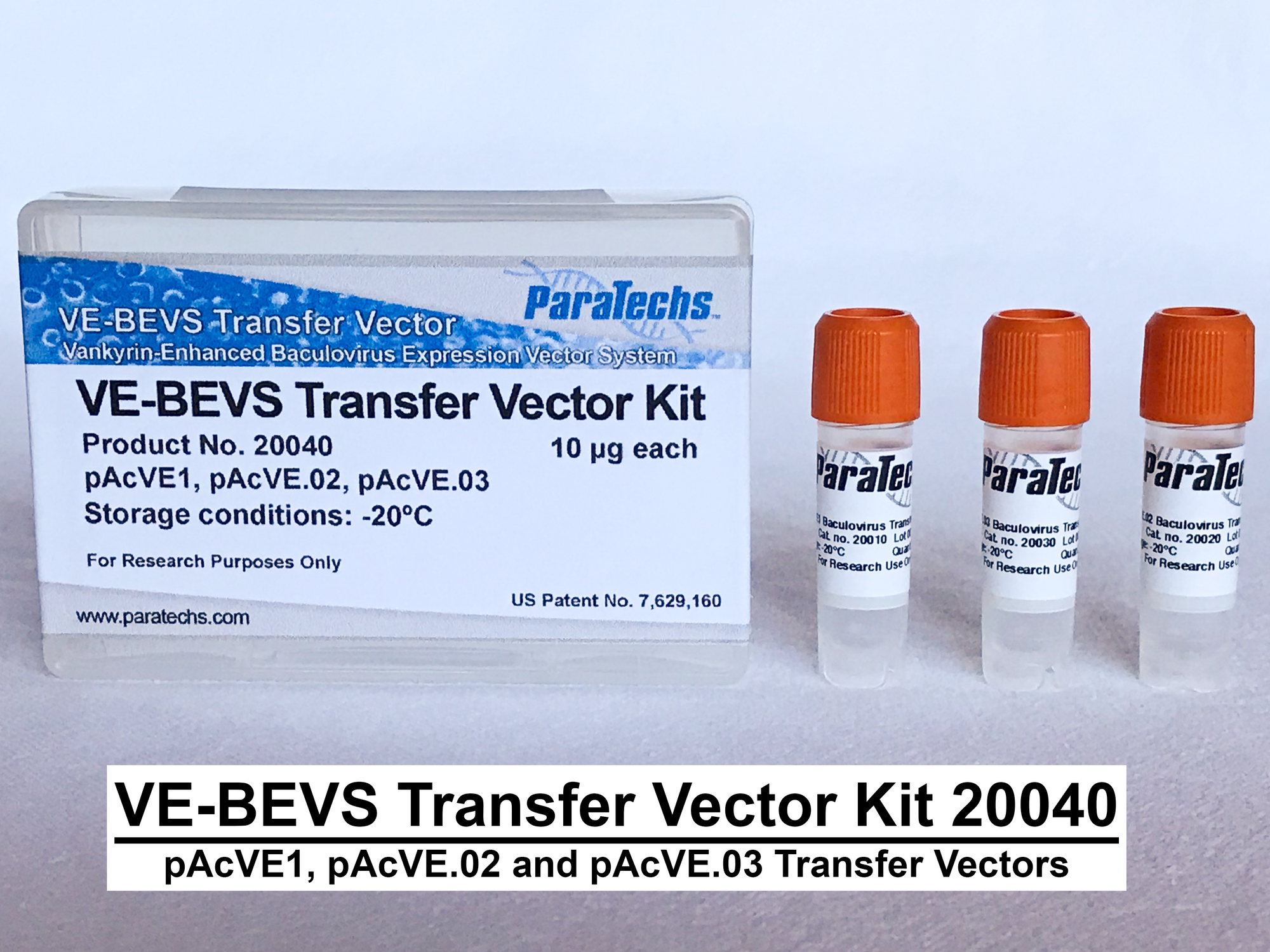 VE-BEVS Transfer Vector Kit 20040 (pAcVE1, pAcVE.02 and pAcVE.03)