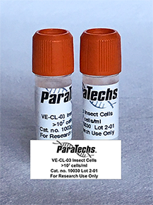 Sf9-derived VE-CL-03 cell line suitable for the enhanced expression of proteins of unknown toxicity and stability or for general enhancement of most recombinant proteins expressed in conventional recombinant BEVS viruses.