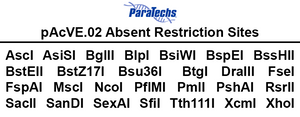 VE-BEVS Transfer Vector 20020 (10 µg) (pAcVE.02) Co-expression of vankyrin gene for increased protein production; HBM signal; N-terminal 8xHis-tag.