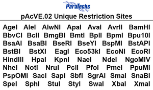 VE-BEVS Complete Kit 30032 (VE-CL-03, pAcVE.02)