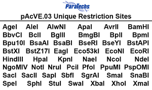 VE-BEVS Complete Kit 30013 (VE-CL-01, pAcVE.03)
